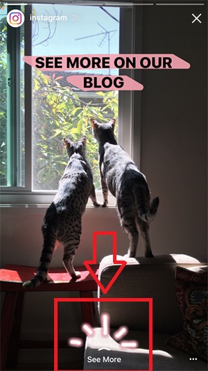 ссылки в Инстаграм Сториз