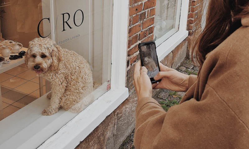 Как посмотреть Истории (Сторис) Инстаграм без регистрации