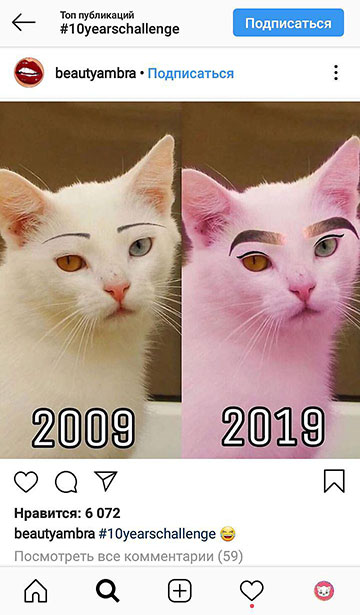 как стать популярным блоггером