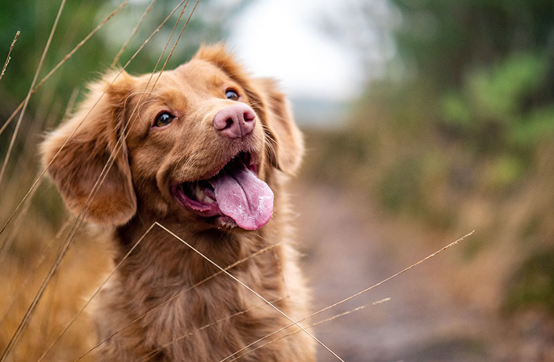Купить рекламу у блогера в Инстаграм - сколько стоит